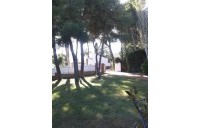 Chalet - Venda - Roda de Bara - RODA DE BARA 25430164