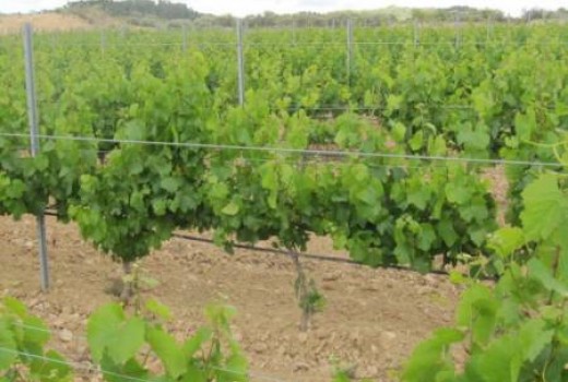 Инвестиции - Продажа - Miami Playa - Miami Playa