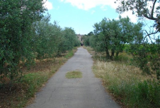 Investment - Sale - Calafell - Calafell