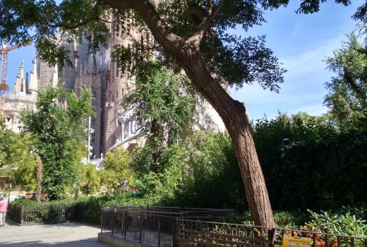 Магазин - Продажа - Barcelona -
                Barcelona