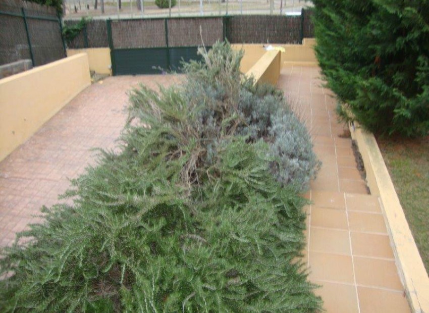 Продажа - Вилла -
Begur, Calella de Palafrugell - mar