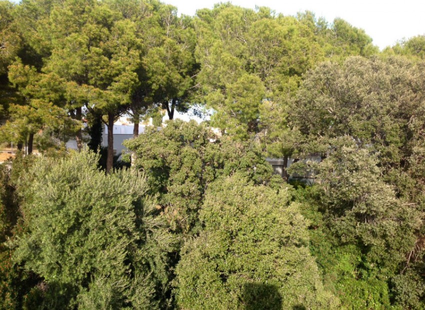 Sale - Adosado -
Cambrils