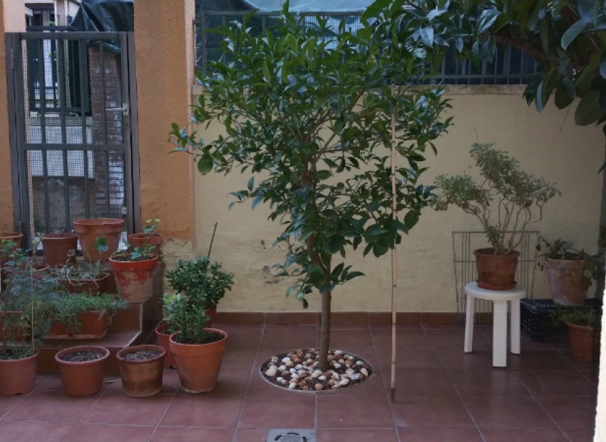 Sale - Adosado -
Gava