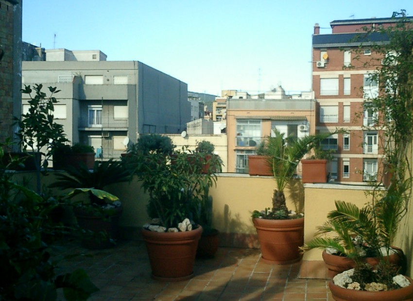 Sale - Apartments -
Diagonal mar- Poblenou - Villa Olimpica - Diagonal mar