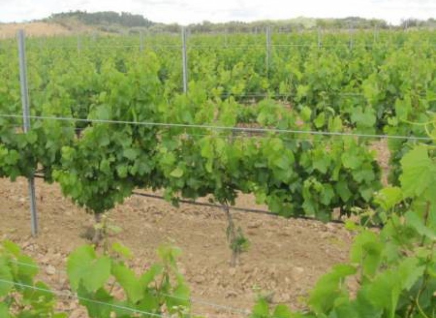 Sale - Investment -
Miami Playa