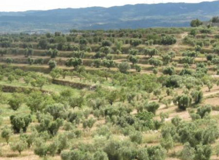 Sale - Investment -
Miami Playa