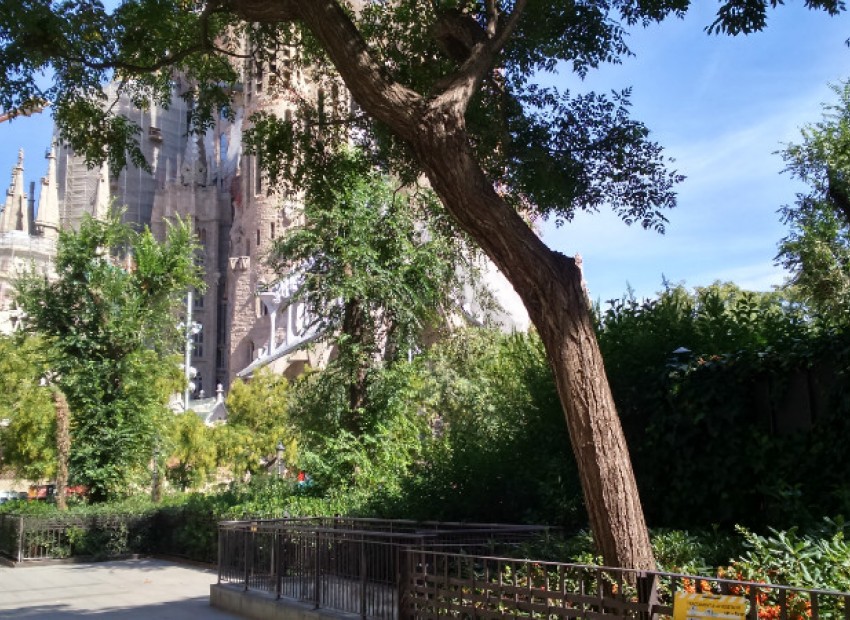 Sale - Piso -
Barcelona