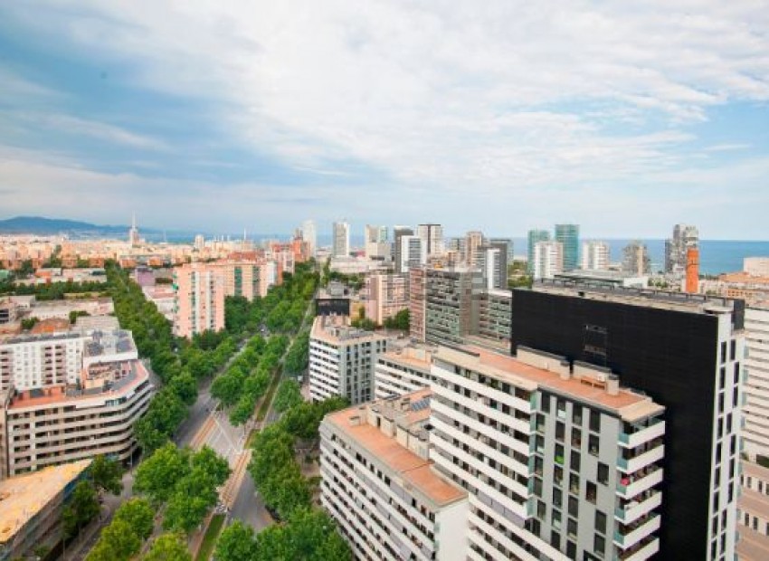 Sale - Piso -
Barcelona