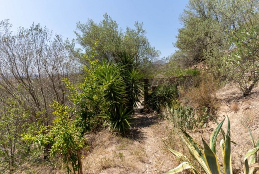 Terreno rural - Продажа - Olesa de Montserrat -
                Ribes Blaves