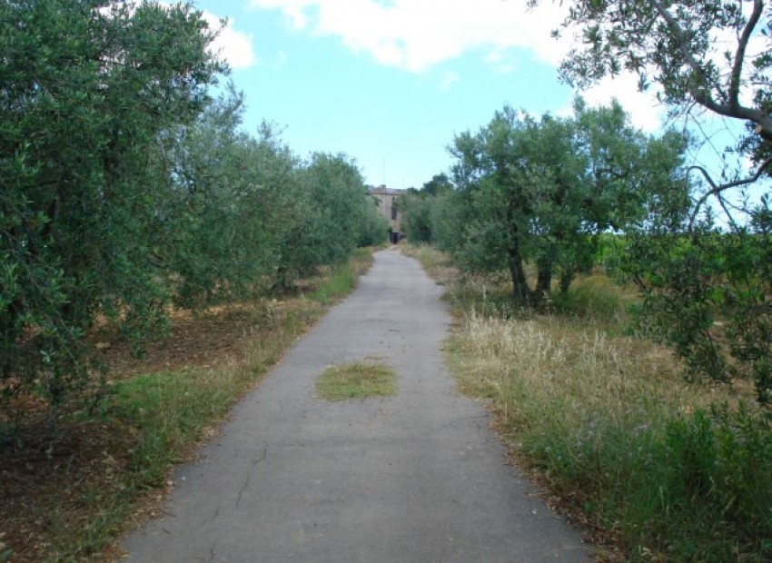 Venta - Inversión -
Calafell