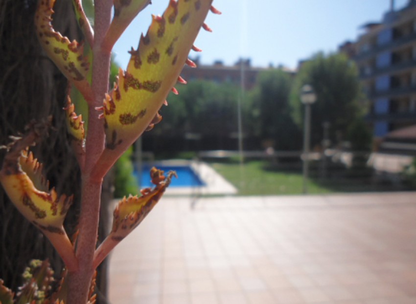 Venta - Piso -
Castelldefels