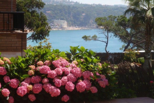 Вилла - Продажа - Lloret de mar - Blanes - Tossa de mar - 1