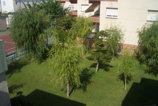 Venda - Piso -
Coma Ruga