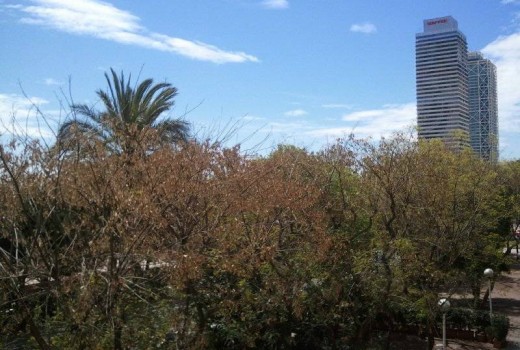 Venta - Piso -
Eixample