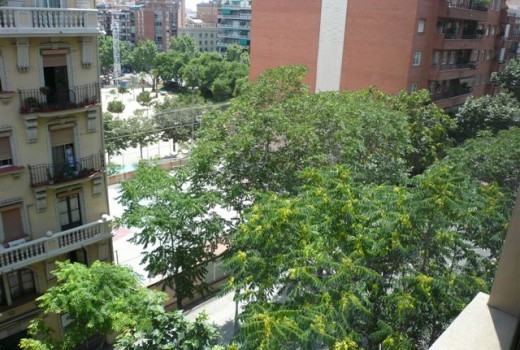 Продажа - Piso -
Eixample