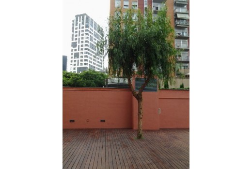 Sale - Piso -
Diagonal mar- Poblenou - Villa Olimpica - Diagonal mar