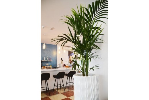 Продажа - Отель -
Calafell