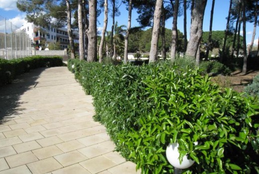 Sale - Piso -
Cambrils