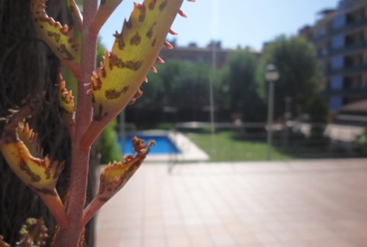 Venta - Piso -
Castelldefels