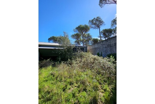 Sale - Terreno rural -
Patja de Aro - Sant Feliu de Guixols - Sant Antoni de Calonge - Costa