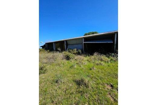 Sale - Terreno rural -
Patja de Aro - Sant Feliu de Guixols - Sant Antoni de Calonge - Costa