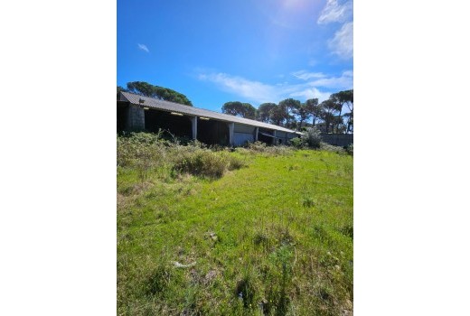 Sale - Terreno rural -
Patja de Aro - Sant Feliu de Guixols - Sant Antoni de Calonge - Costa