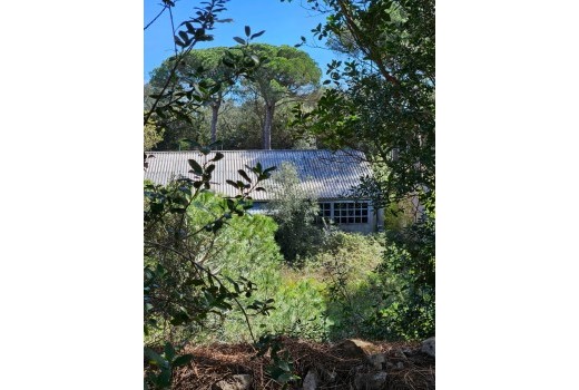 Sale - Terreno rural -
Patja de Aro - Sant Feliu de Guixols - Sant Antoni de Calonge - Costa