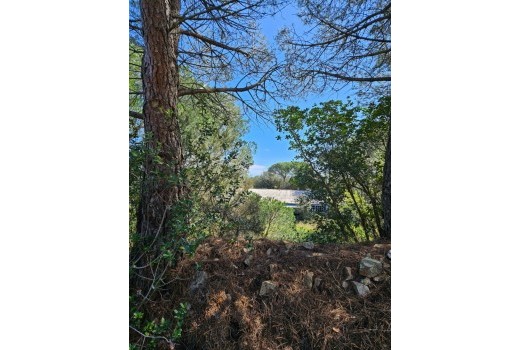 Sale - Terreno rural -
Patja de Aro - Sant Feliu de Guixols - Sant Antoni de Calonge - Costa