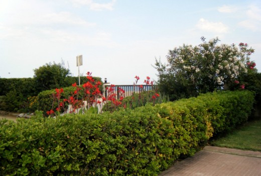 Venda - Piso -
Barcelona