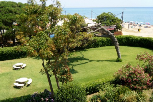 Venda - Piso -
Barcelona