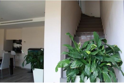 Sale - Adosado -
Barcelona