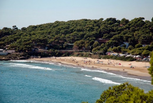 Sale - Chalet -
Altafulla