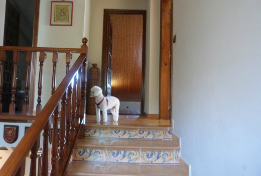 Sale - Chalet -
Sitges