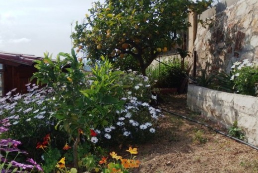 Sale - Adosado -
Lloret de mar - Blanes - Tossa de mar - 1