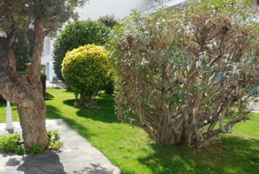 Sale - Adosado -
Lloret de mar - Blanes - Tossa de mar - 1