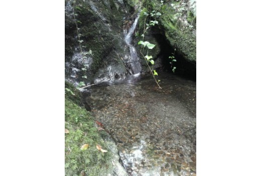 Sale - Rustic estate/castle  -
Barcelona