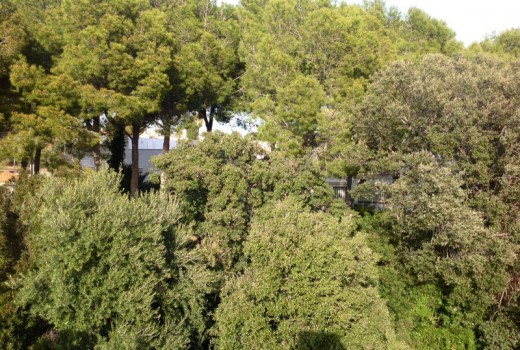 Sale - Adosado -
Cambrils