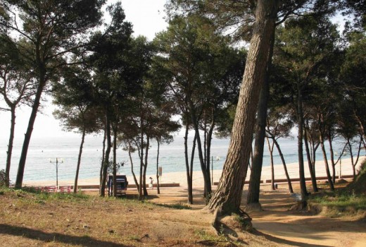 Sale - Piso -
Lloret de mar - Blanes - Tossa de mar - 1