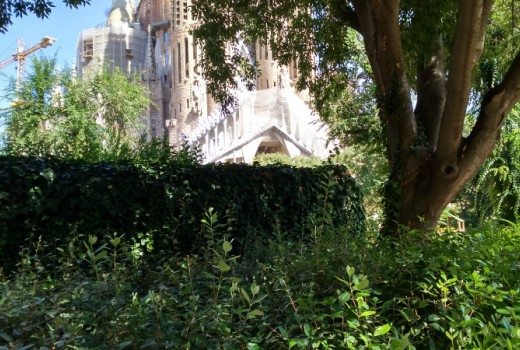 Sale - Piso -
Barcelona