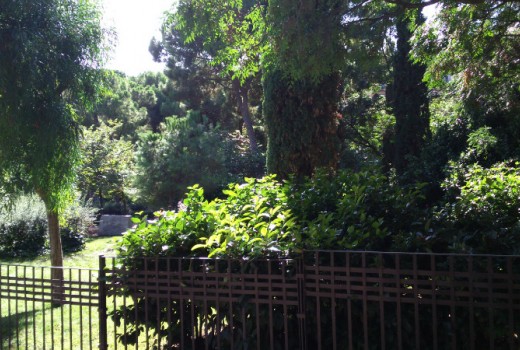 Sale - Piso -
Barcelona