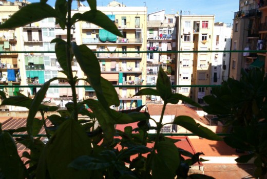 Sale - Piso -
Barcelona