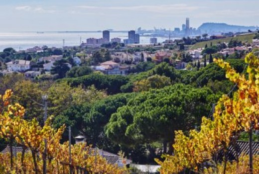 Sale - Piso -
Alella, Premia, Vilassar - 1