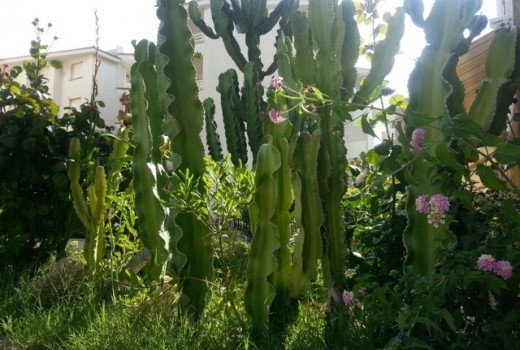 Продажа - Piso -
Calafell