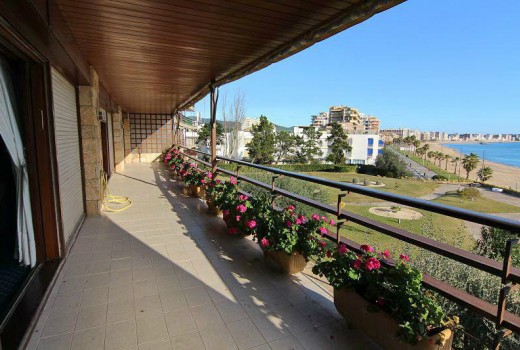 Sale - Piso -
Patja de Aro - Sant Feliu de Guixols - Sant Antoni de Calonge - Costa