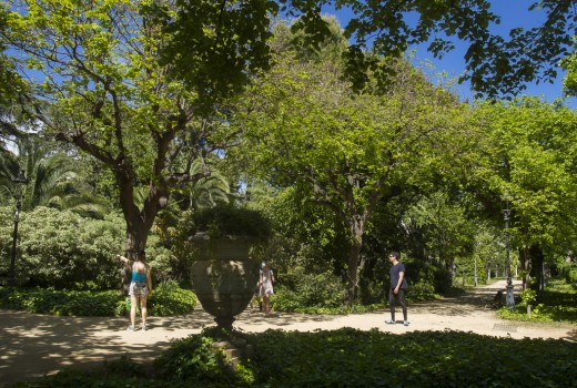 Sale - Piso -
Sarrià-Sant Gervasi-Pedralbes