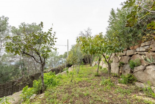 Venta - Casa -
Corbera de Llobregat - Cases pairals