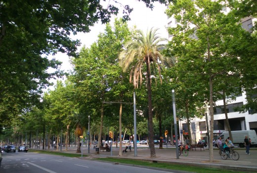 Venda - Piso -
Barcelona