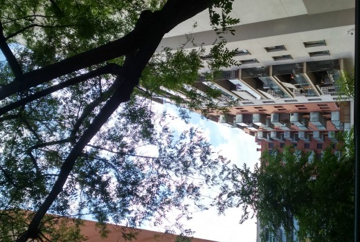 Venda - Piso -
Barcelona