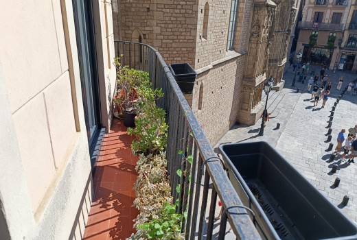 Sale - Piso -
Barcelona - El Gòtic