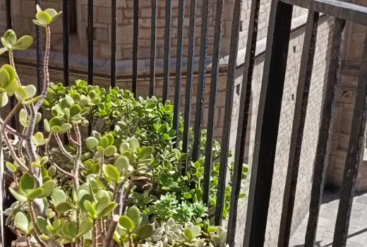 Sale - Piso -
Barcelona - El Gòtic